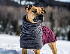Dog Winter Coats
