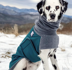 Dog Winter Coats