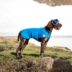 Dog Cooling Coat manufacturer