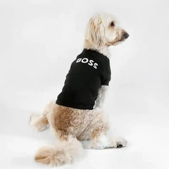 Dog Sweater manufacture