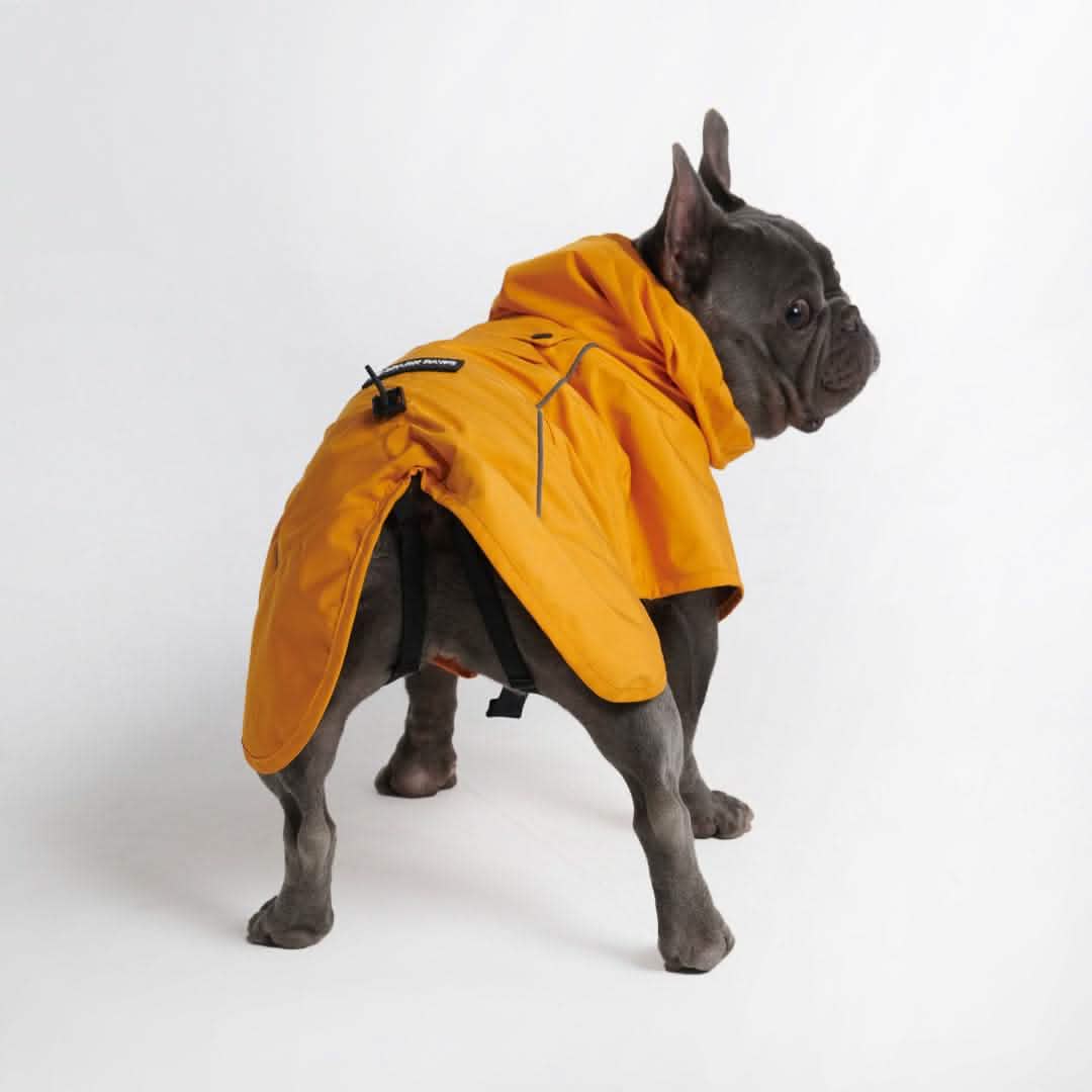 Dog Raincoats manufacturer