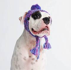 Pet Hat Manufacturer