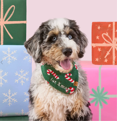 Pet Christmas Bandana Manufacturer