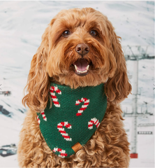 Pet Christmas Bandana Manufacturer
