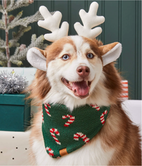 Pet Christmas Bandana Manufacturer