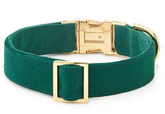 Pet Christmas Evergreen Dog Collar Manufacturer