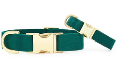 Pet Christmas Evergreen Dog Collar Manufacturer