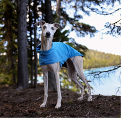 Dog Cooling Coat manufacturer