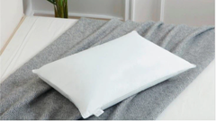 Hotel Collection Down Pillows